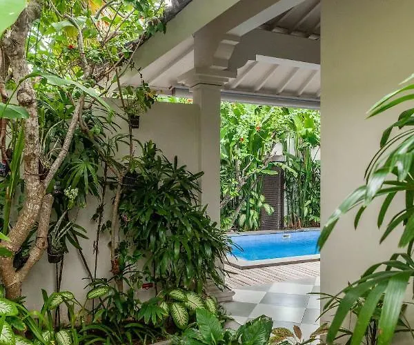 Villa Seni *